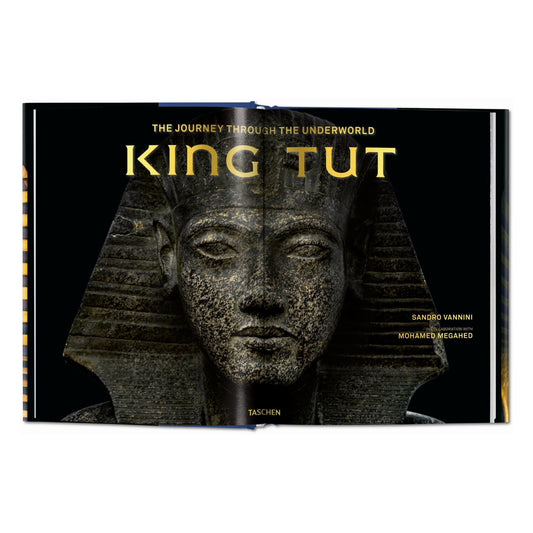 King Tut. The Journey through the Underworld (English)