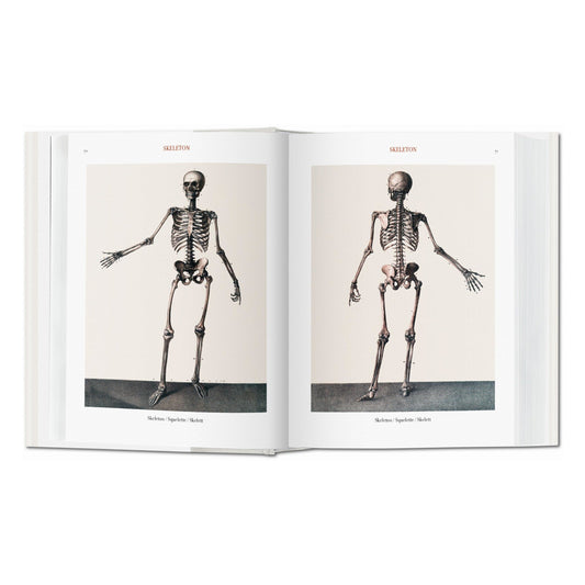 Bourgery. Atlas of Human Anatomy and Surgery (German, French, English)
