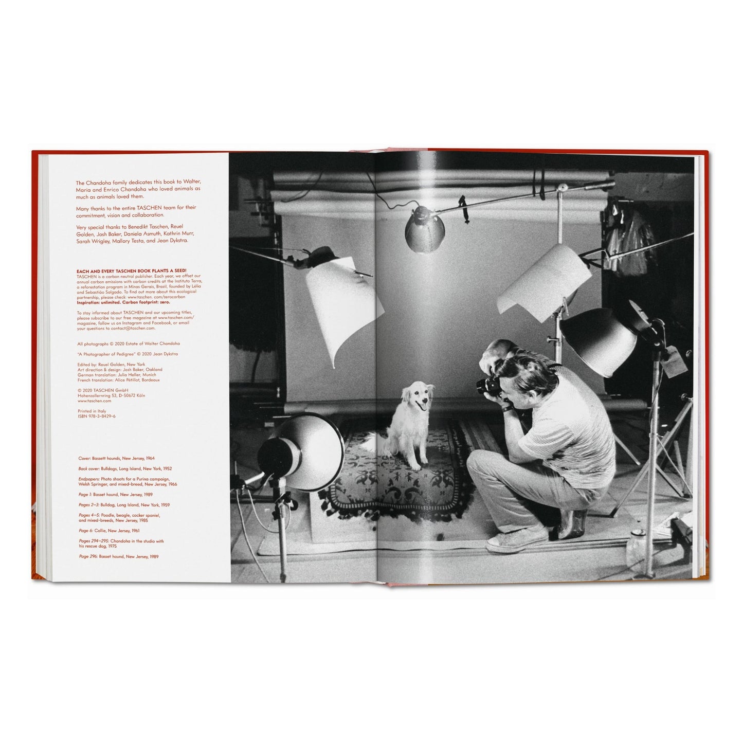 Walter Chandoha. Dogs. Photographs 1941–1991 (German, French, English)