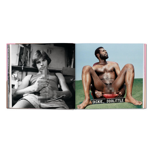 The Big Penis Book (German, French, English)