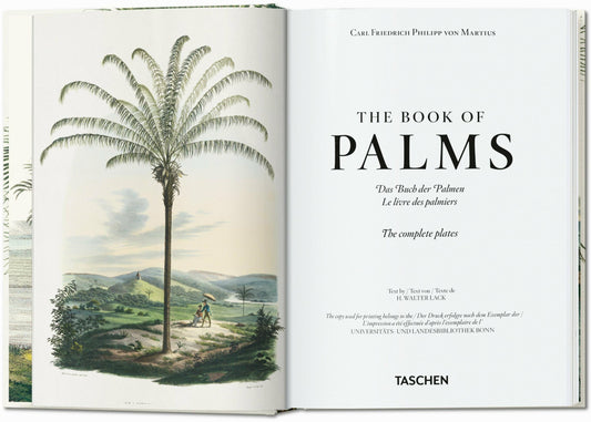 Martius. The Book of Palms. 45th Ed. (German, French, English)