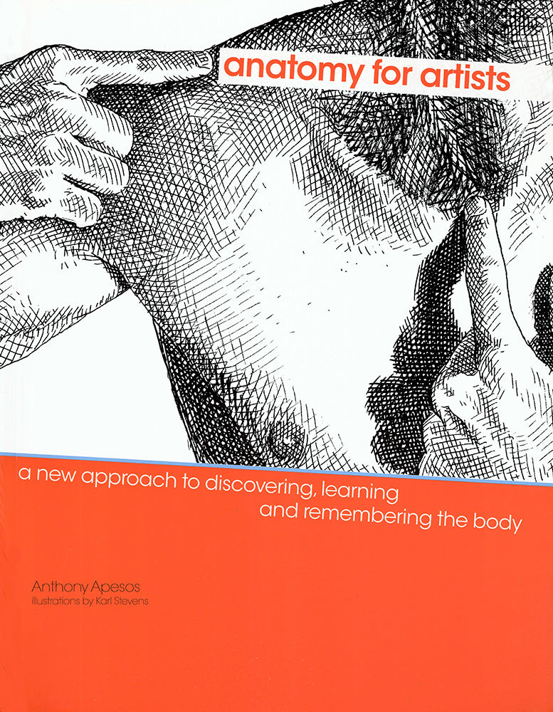 Anatomy For Artists