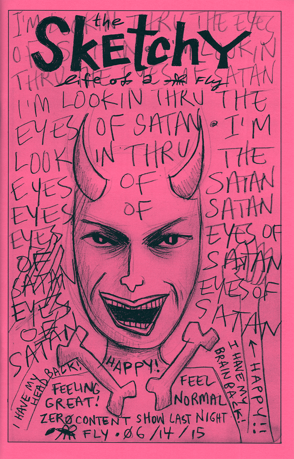 The Sketchy Life of a Fly