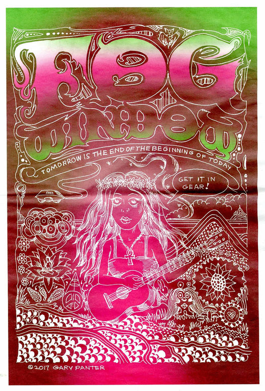 Fog Window Double LP and Zine