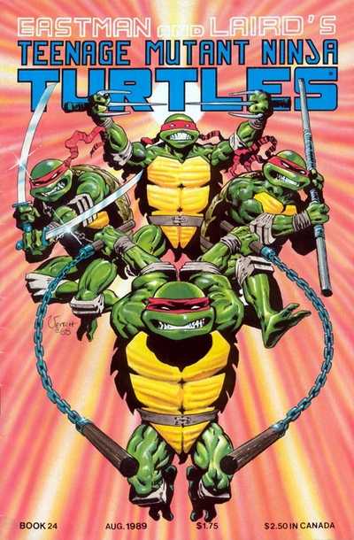 Teenage Mutant Ninja Turtles #24