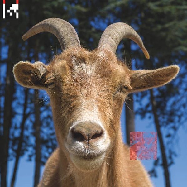.dev (2xVINYL) |