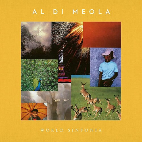 World Sinfonia (180 Gram Vinyl) (2 Lp's) |