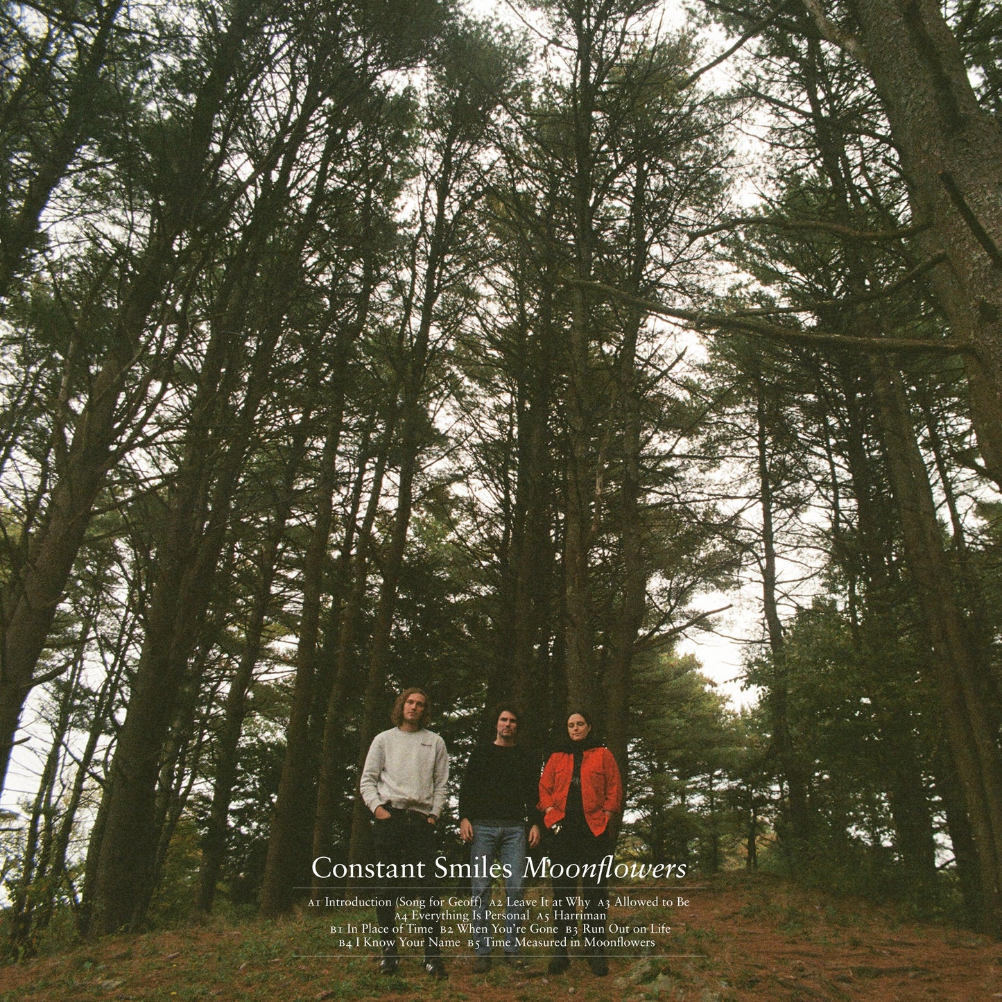 =Moonflowers (Milky Clear VINYL) | Mint (M) Mint (M)