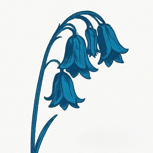 The Bluebells - This Is The Bluebells (GLADE GREEN 2xVINYL) | Mint (M) Mint (M)