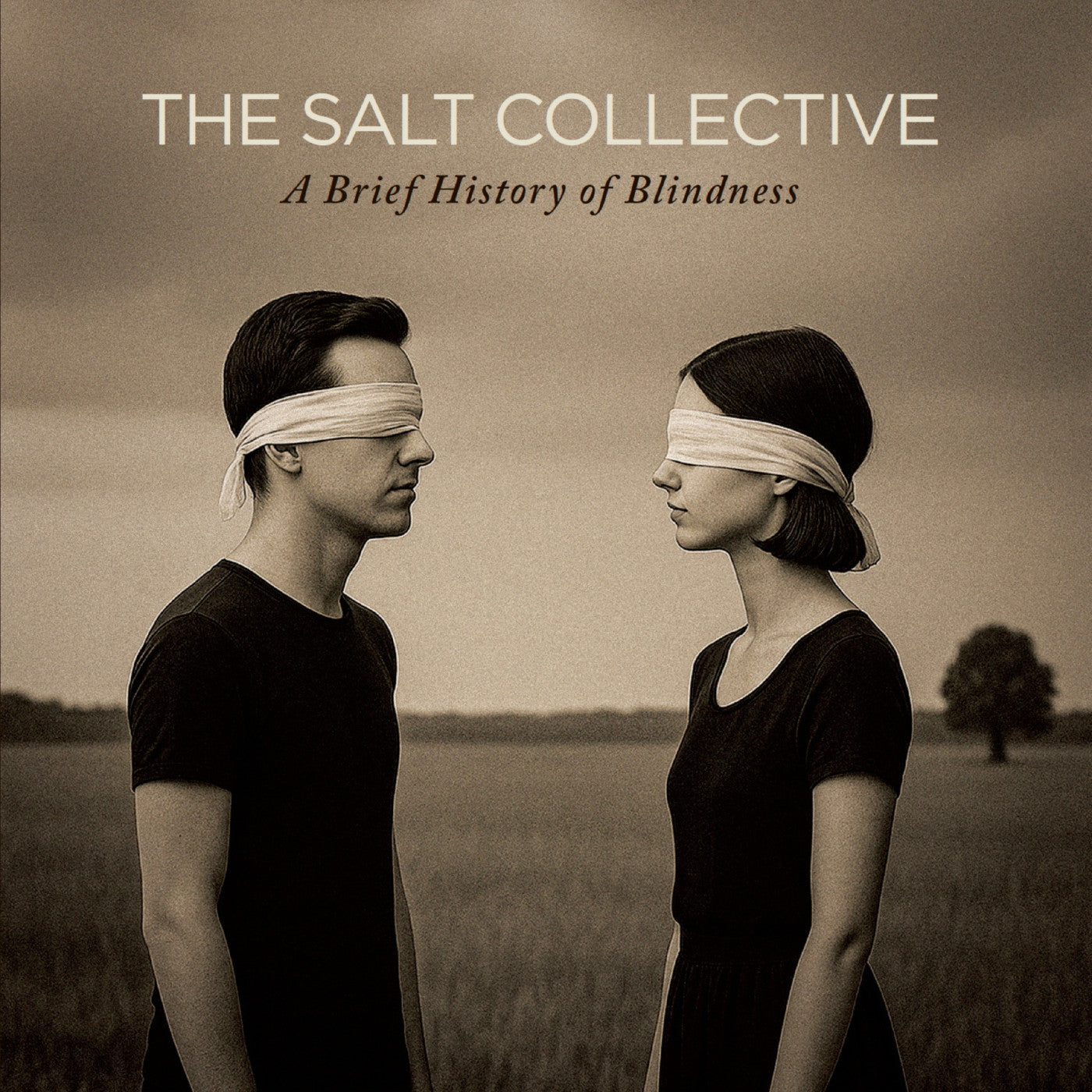 A Brief History Of Blindness (Citrine Mist VINYL) | Mint (M) Mint (M)