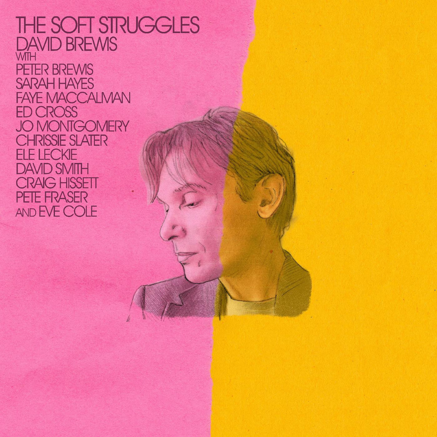 Brewis, David - The Soft Struggles |