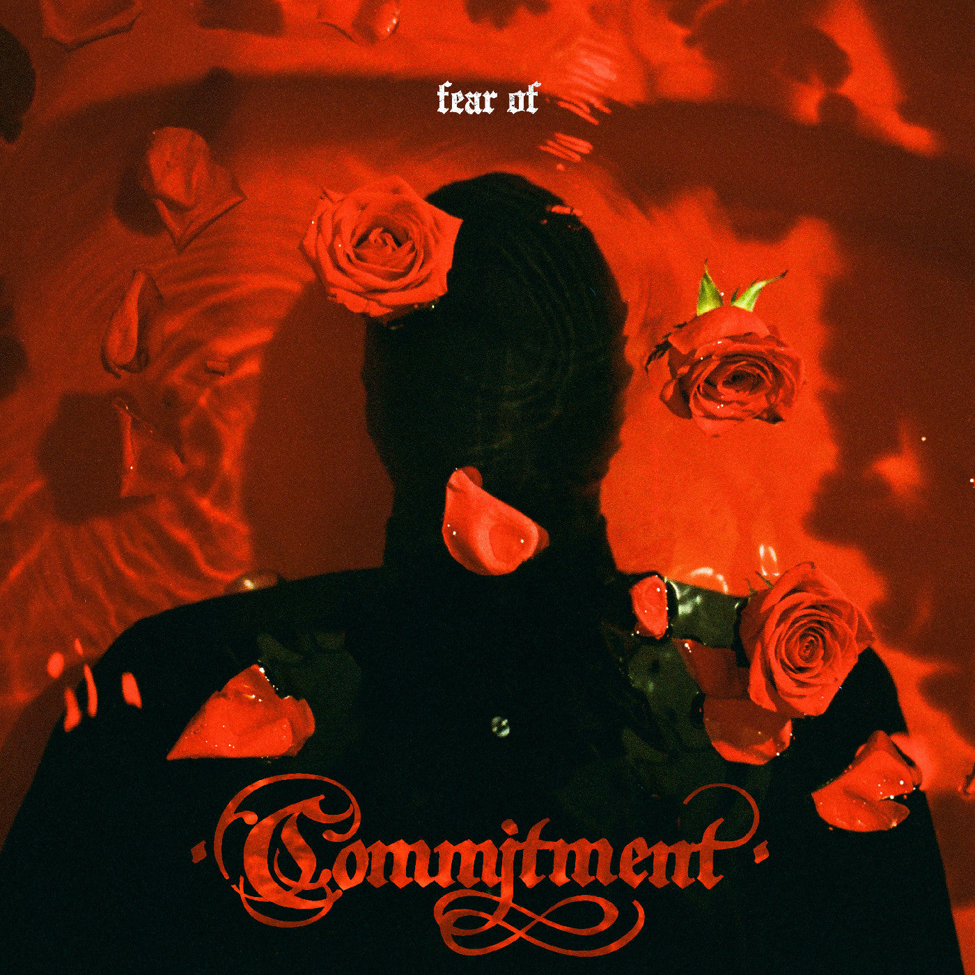 Commitment - Fear Of (VINYL) | Mint (M) Mint (M)