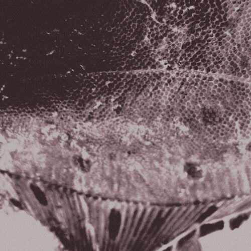 Mark Ijzerman - Flounder Maps (VINYL) | Mint (M) Mint (M)
