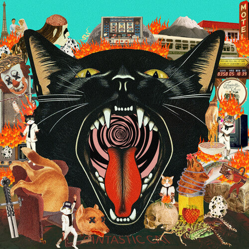 Fantastic Cat - Cat Out Of Hell (VINYL) |