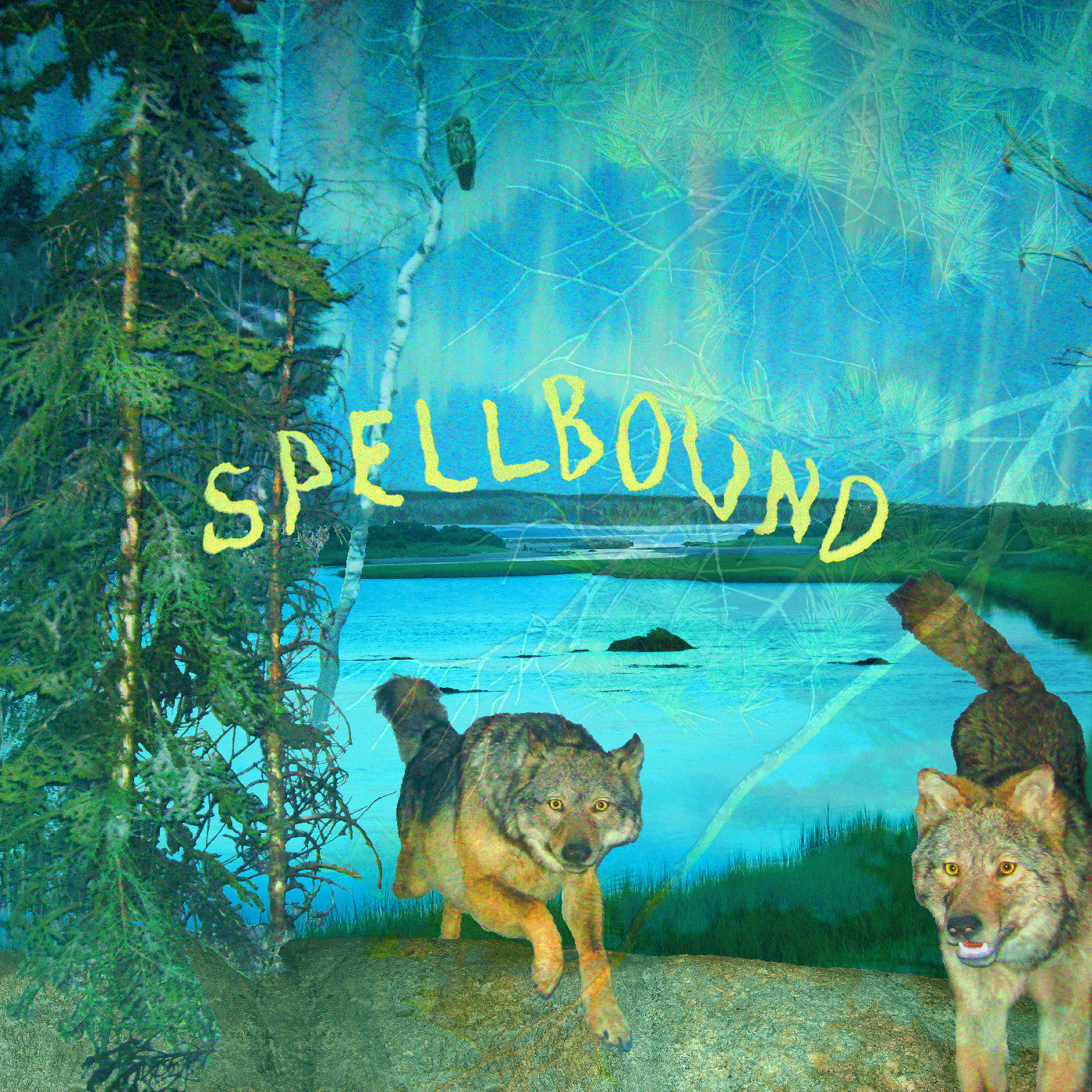 Boyscott - Spellbound (GREEN + YELLOW "AURORA" VINYL) |