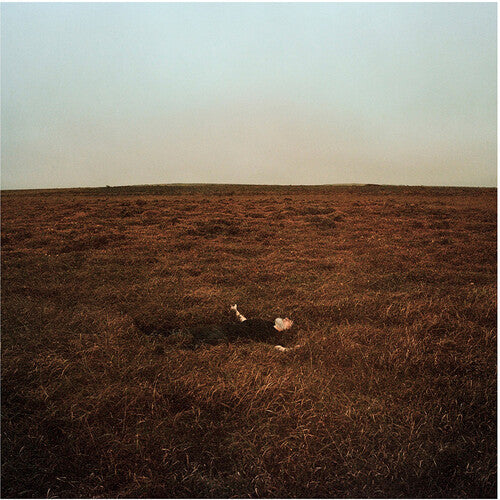 Fink - (PRESALE 6/5/26) The City Is Coming to Erase It All (BOOKLET VINYL) | Mint (M) Mint (M)