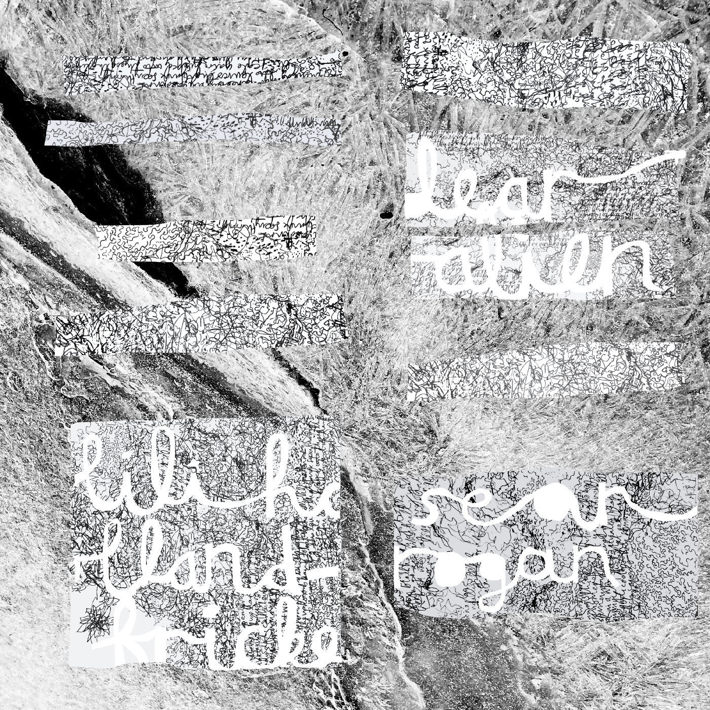 Holland-Fricke, Lili & Sean Rogan - Dear Alien |