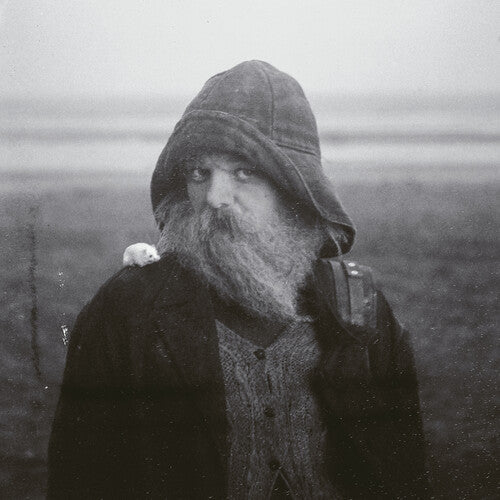 Mary in the Junkyard - (PRESALE 7/3/26) Role Model Hermit (VINYL) | Mint (M) Mint (M)