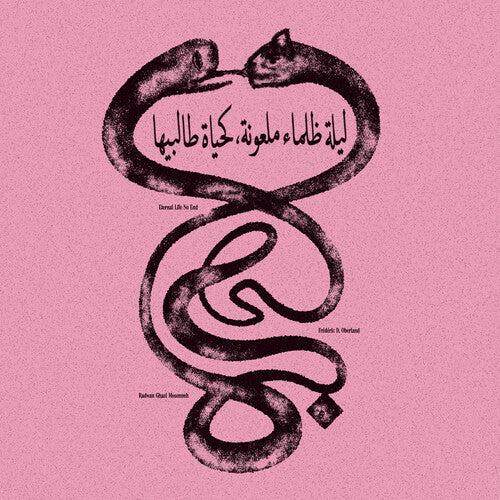 Radwan Ghazi Moumneh - Eternal Life No End (VINYL) | Mint (M) Mint (M)