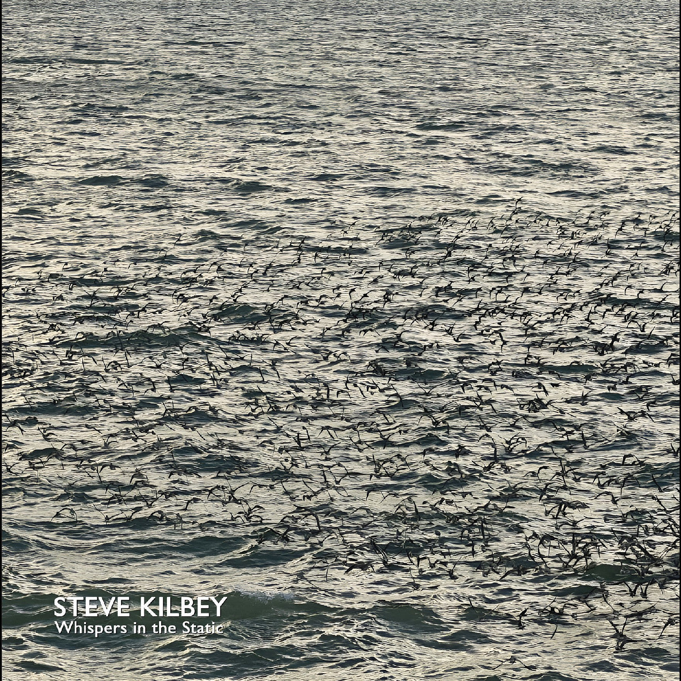 Kilbey, Steve - Whispers In The Static (GRAY VINYL) |