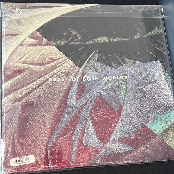 Beast Of Both Worlds (VINYL) | Near Mint (NM) Near Mint (NM)