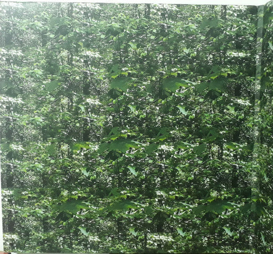 Der Lange Marsch | Mint (M) Mint (M)