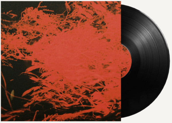 Anthony Naples - In Studio Magic (VINYL) | Mint (M) Mint (M)