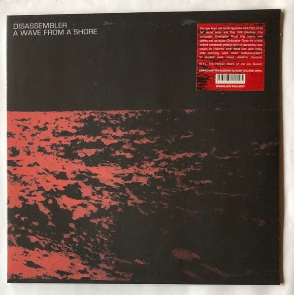 Disassembler (4) - A Wave From A Shore (VINYL) | Near Mint (NM) Near Mint (NM)