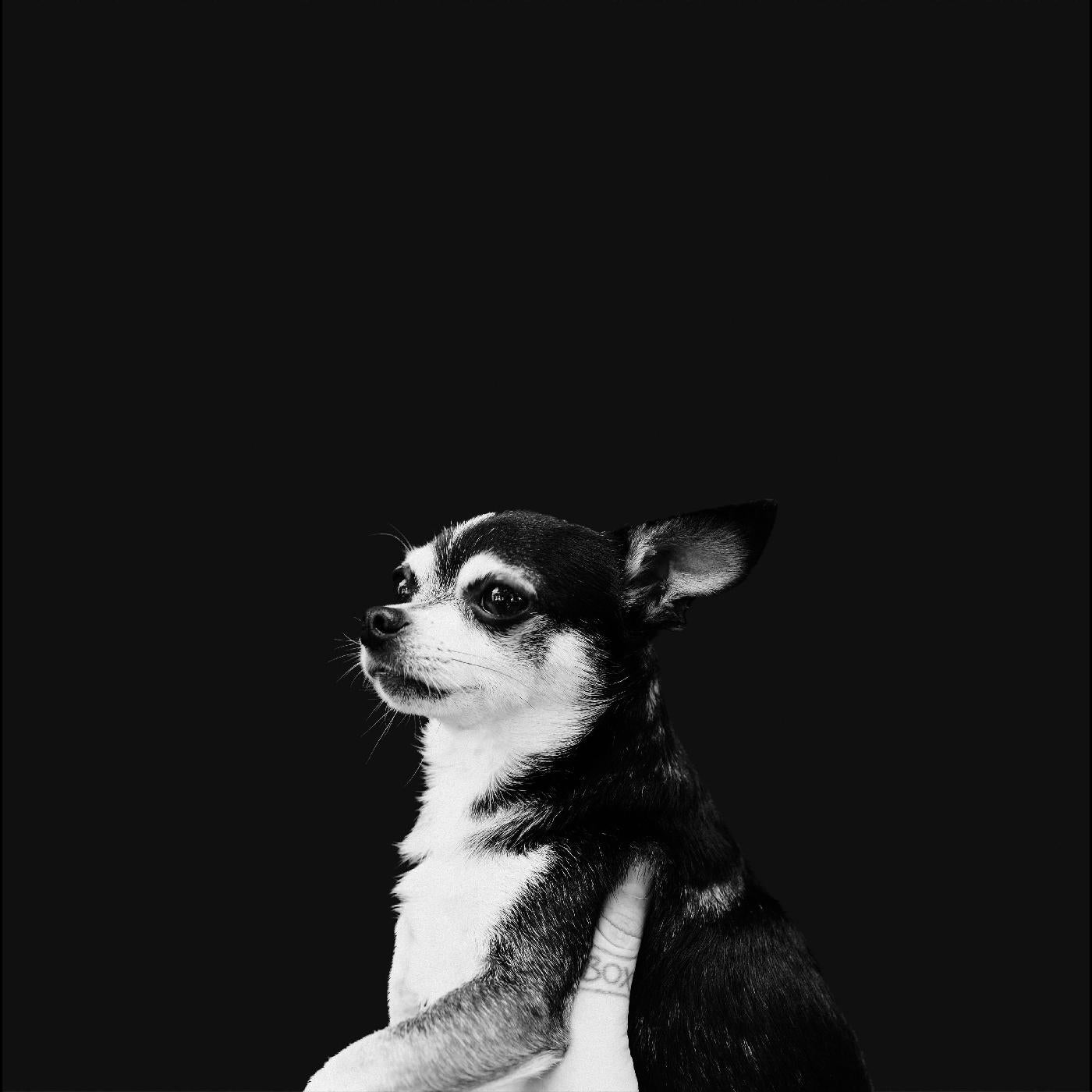 When This Life Is Over (CD) | Mint (M) Mint (M)