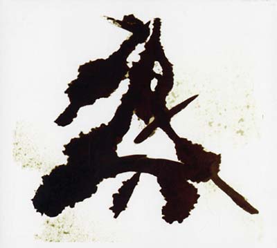 Einzelkämpfer (Lone Warrior) |