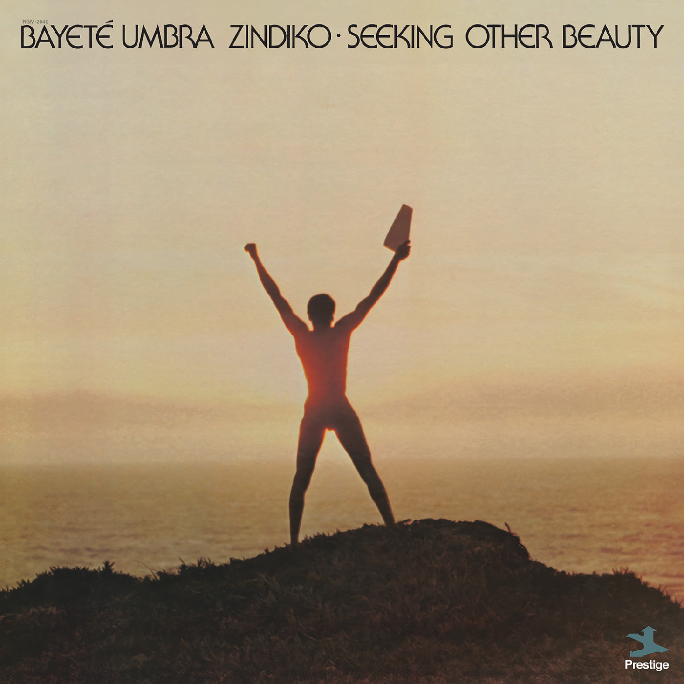 Seeking Other Beauty (All-Analog) (Plasma Vinyl) |
