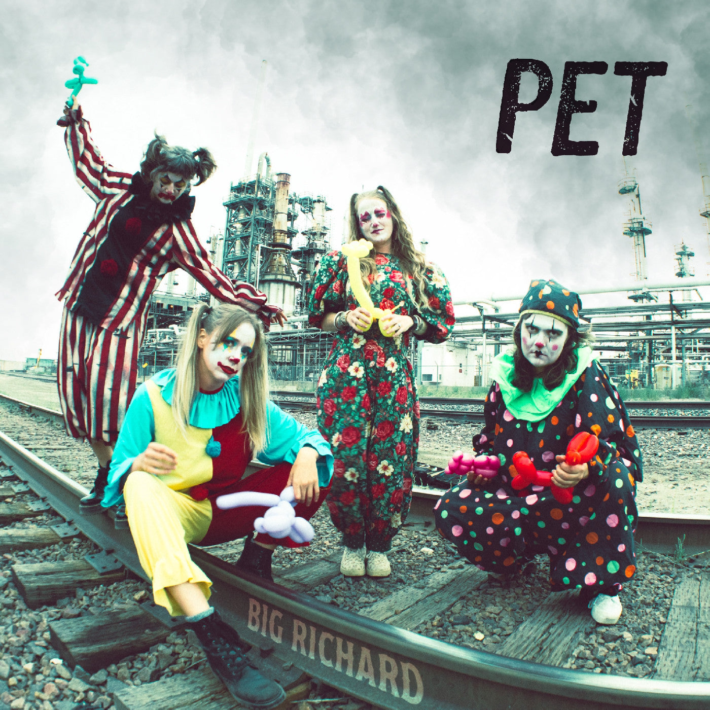 Pet (VINYL) | Mint (M) Mint (M)