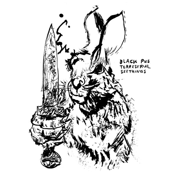 Terrestrial Seethings (Silver Vinyl) |