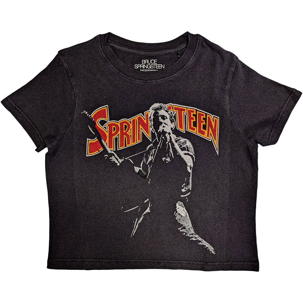 Bruce Springsteen - Stage Pose |