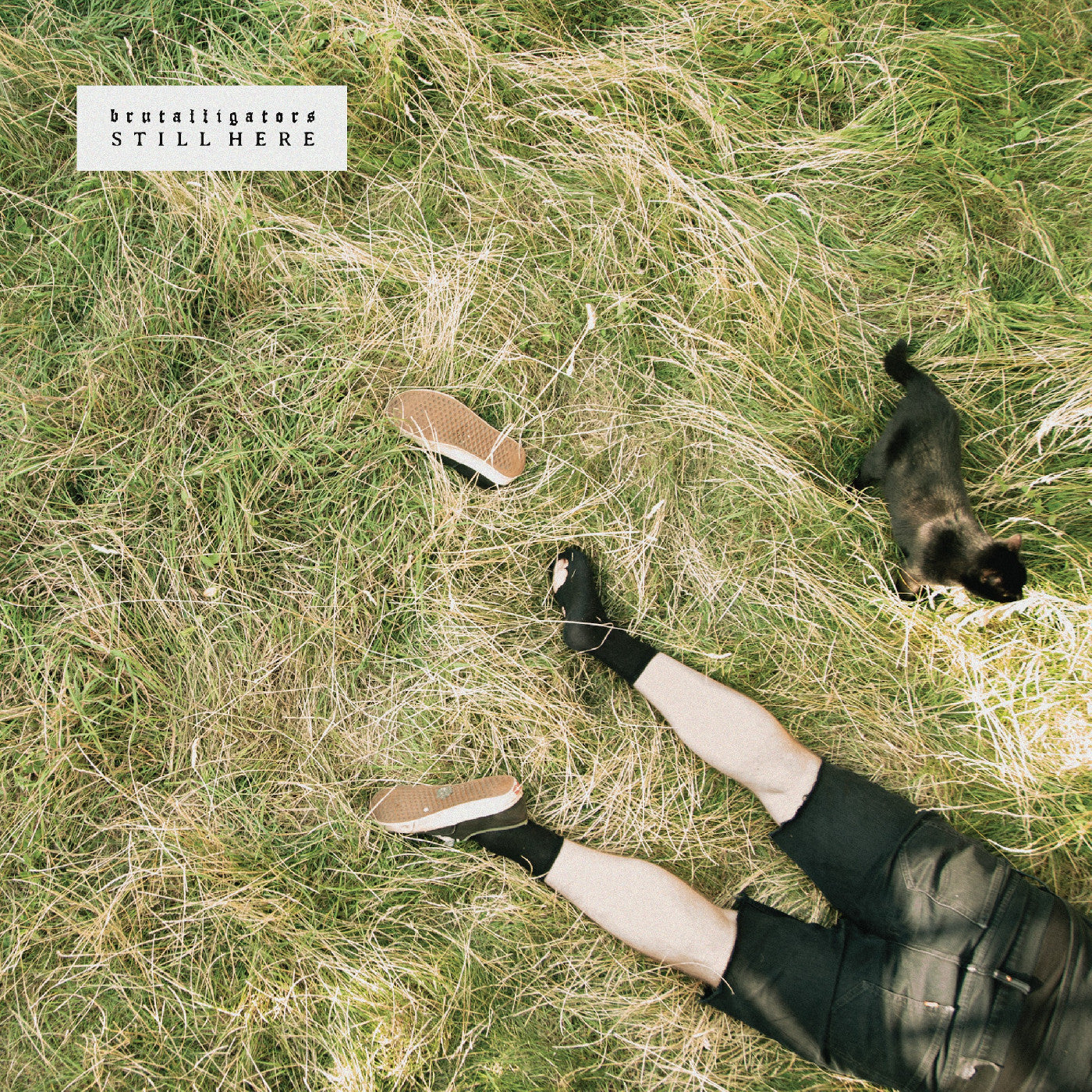 Grassy Green Marbled Vinyl) Still Here (Indie Exclusive |