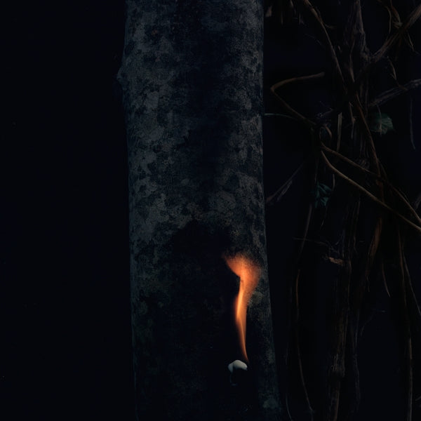 Jump Ship, Sit Lean, Be Still, Stand Tall |