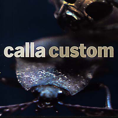 Custom (The Remix Project) |