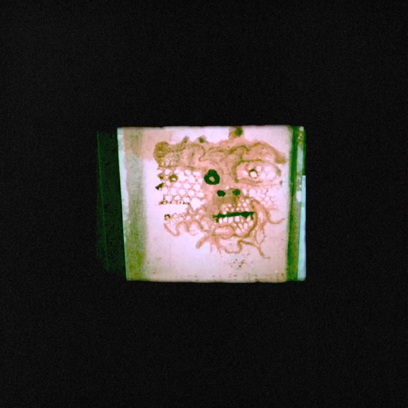 I Read That I Was Dead (VINYL) | Mint (M) Mint (M)