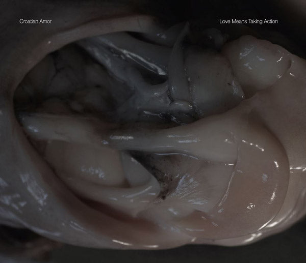 Love Means Taking Action |