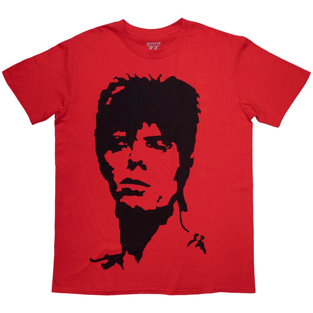David Bowie - 1973 Monochrome |