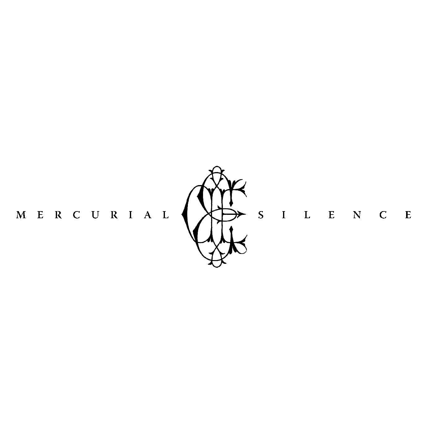 David Eugene Edwards - Mercurial Silence (CD DIGIPAK W/ LYRIC INSERT PRINTED INNER SLEEVE VINYL) | Mint (M) Mint (M)