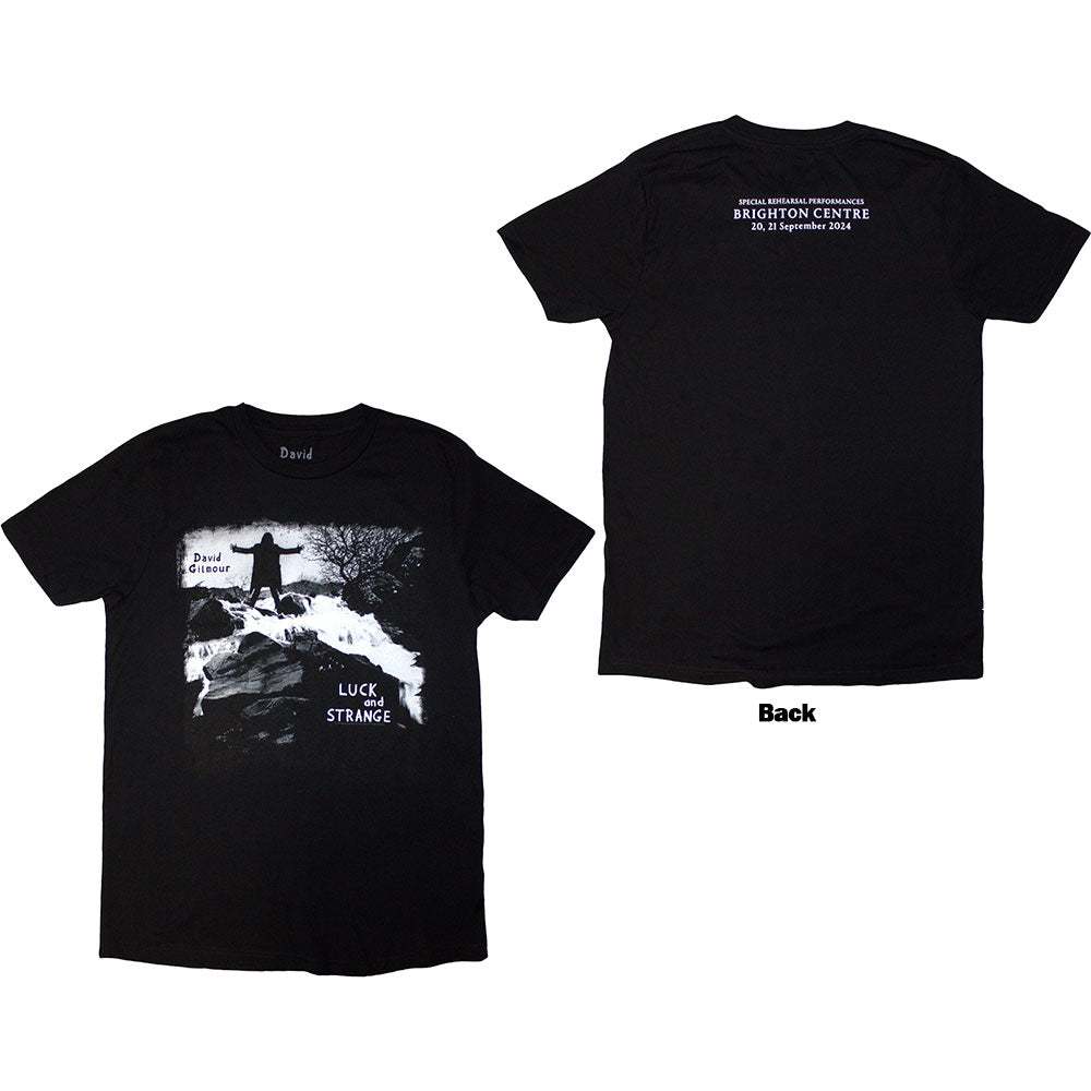 David Gilmour - Luck & Strange Album Brighton |