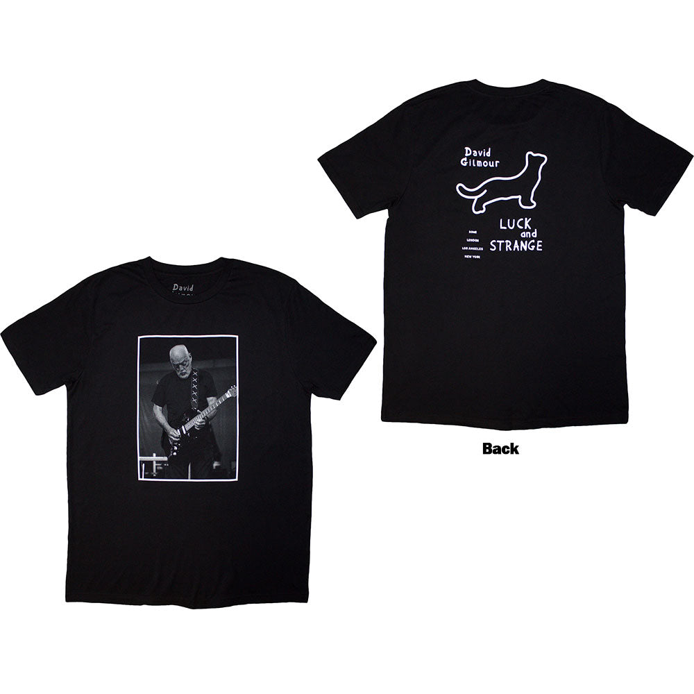 David Gilmour - Luck & Strange Black Cat Strat |