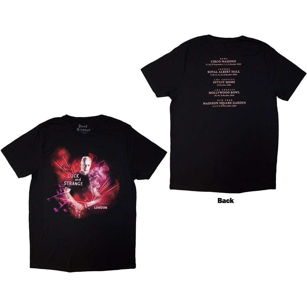 David Gilmour - Luck & Strange London |