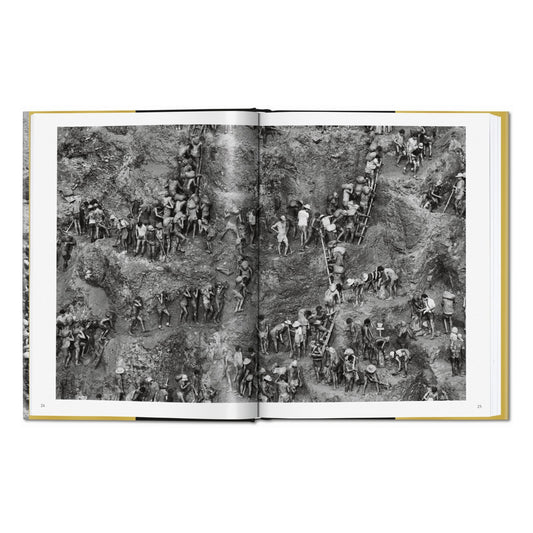 Sebastião Salgado. Gold (German, French, English)
