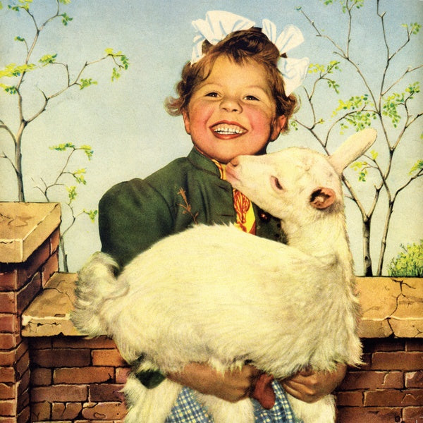 Weisheit aus des Kindes Mund tut uns stets die Wahrheit kund |