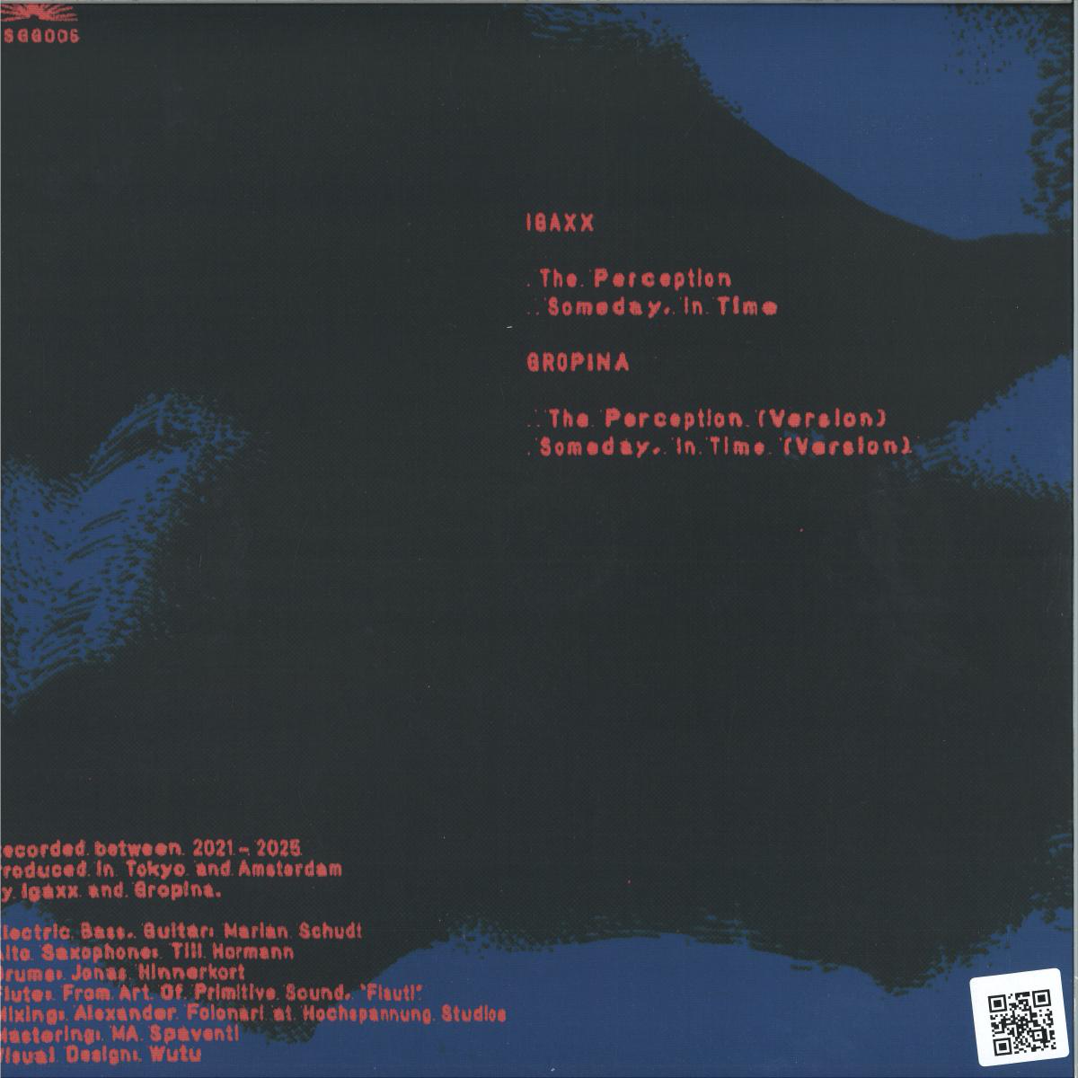 Igaxx, Gropina - The Perception (VINYL) | Mint (M) Mint (M)