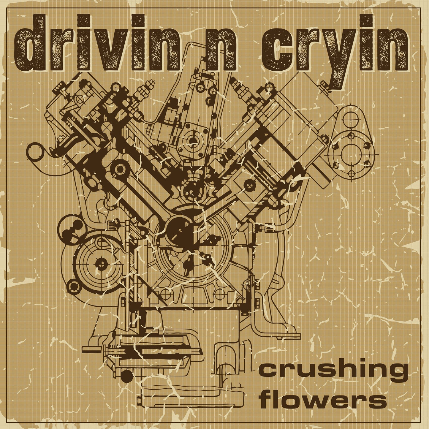 Drivin N Cryin - Crushing Flowers |