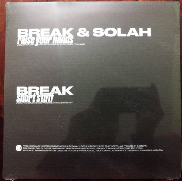 Raise Your Hands (VINYL 12") | Mint (M) Mint (M)