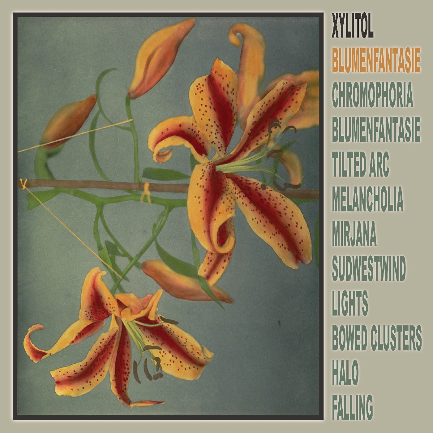 Xylitol - Blumenfantasie (VINYL) |